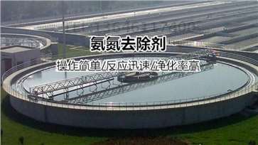 氨氮去除剂