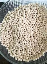 脱蜡10x分子筛